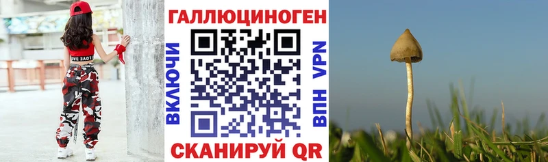 Галлюциногенные грибы Cubensis  площадка какой сайт  Полярные Зори 